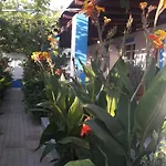 Lägenhetshotell Aegean Kéfalos