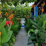 Aegean *