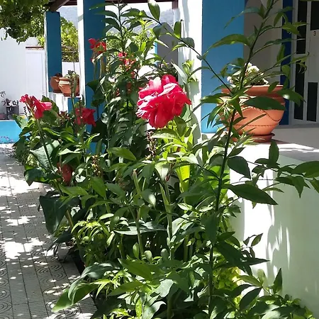 Aegean Lägenhetshotell *