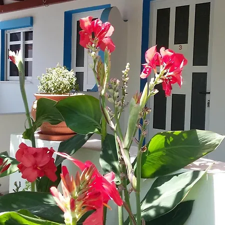 Appart hôtel Aegean *