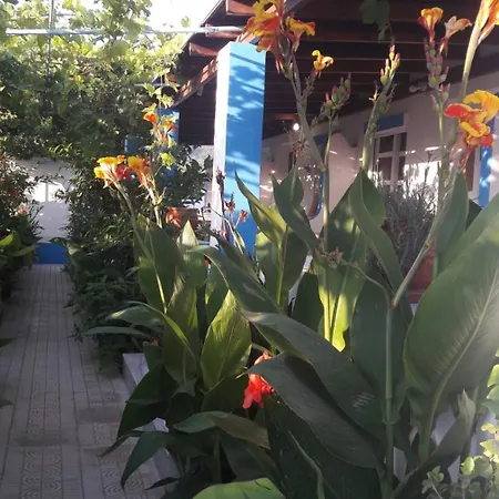 Aparthotel Aegean Kéfalos