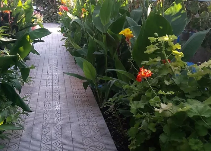 Aegean 公寓式酒店