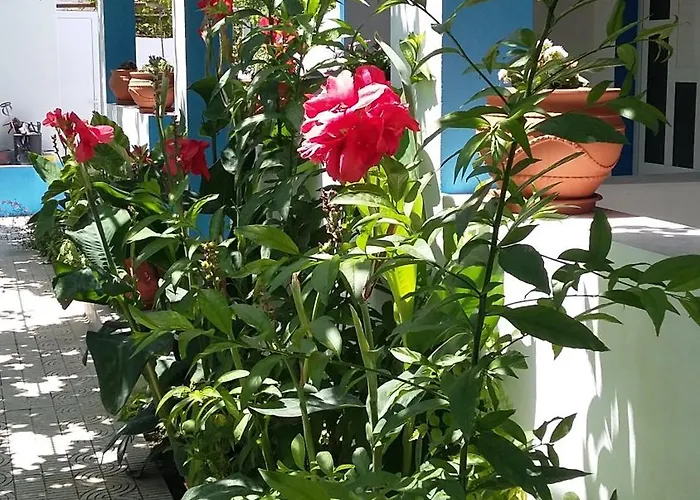 Aegean 公寓式酒店 *