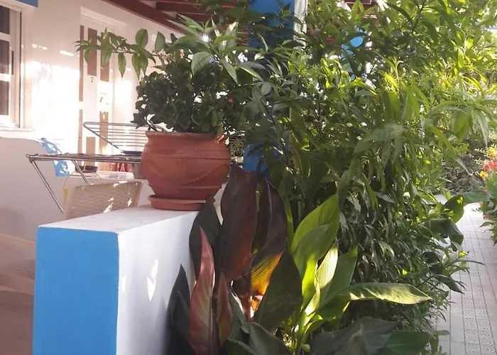 Aegean 公寓式酒店 克法洛斯