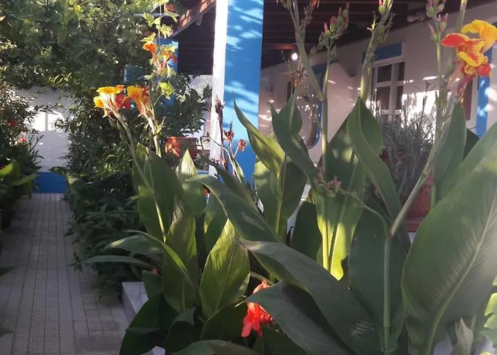 公寓式酒店 Aegean 克法洛斯