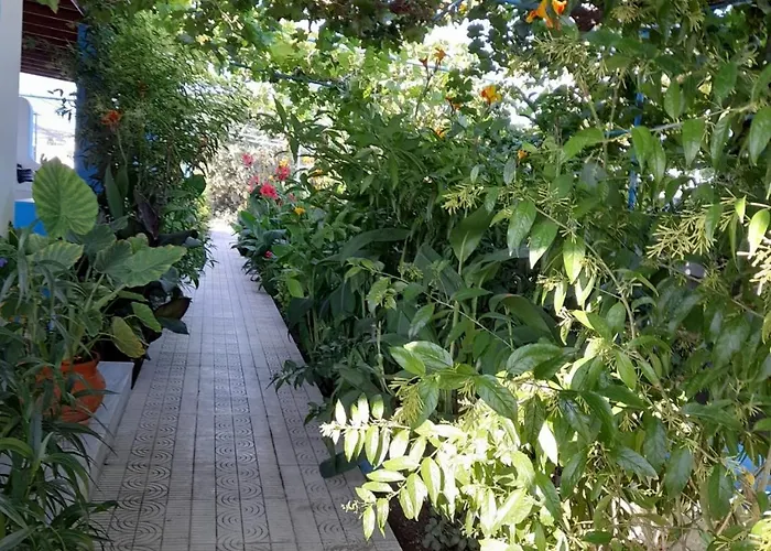 Aegean 公寓式酒店