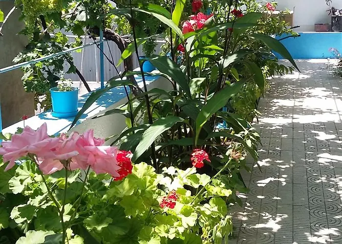 Aegean 公寓式酒店 克法洛斯