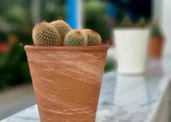 公寓式酒店 Aegean