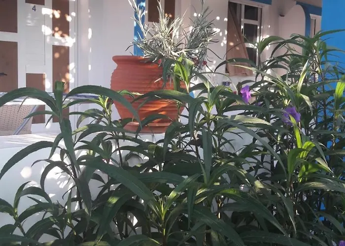 شقة فندقية Aegean *